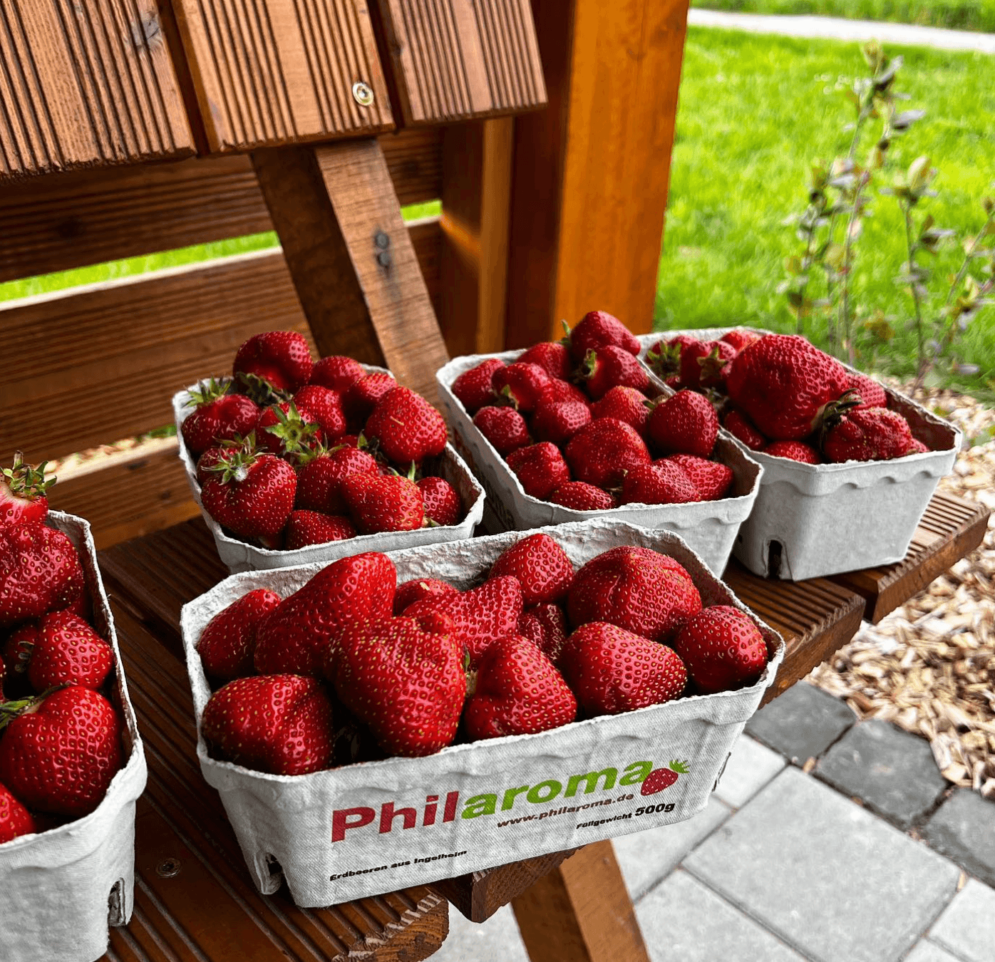 Erdbeeren