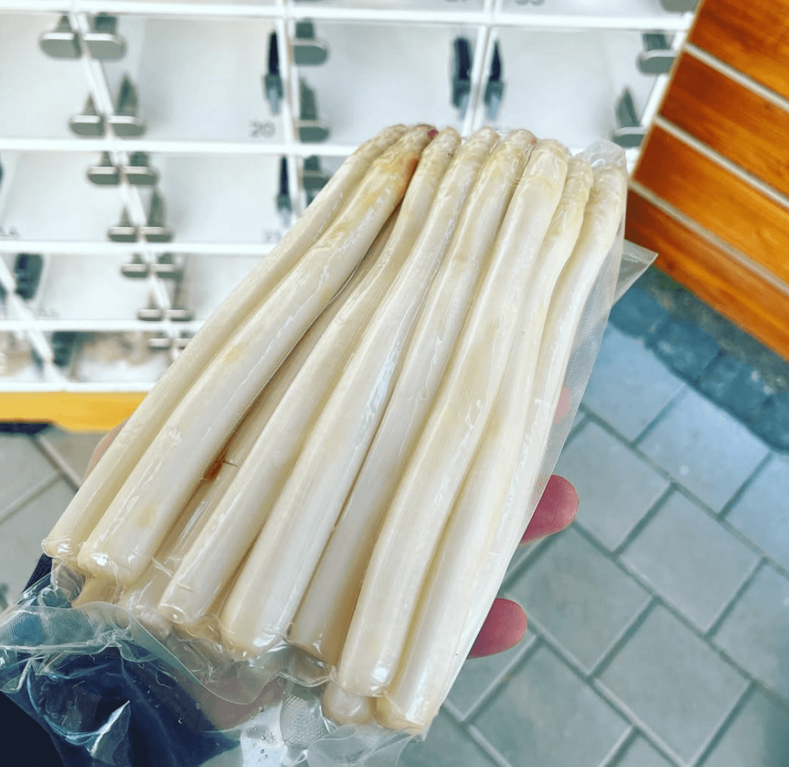 Spargel