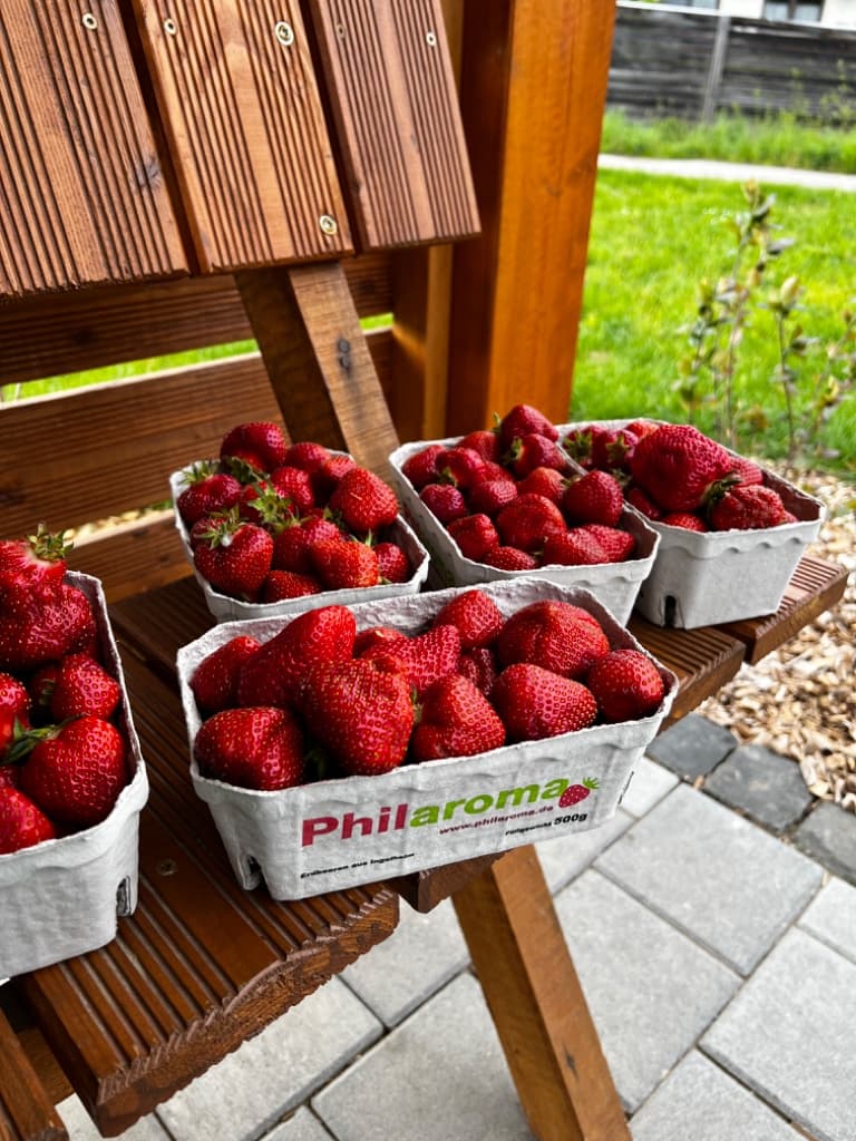 2 x 500g Philaroma Erdbeeren