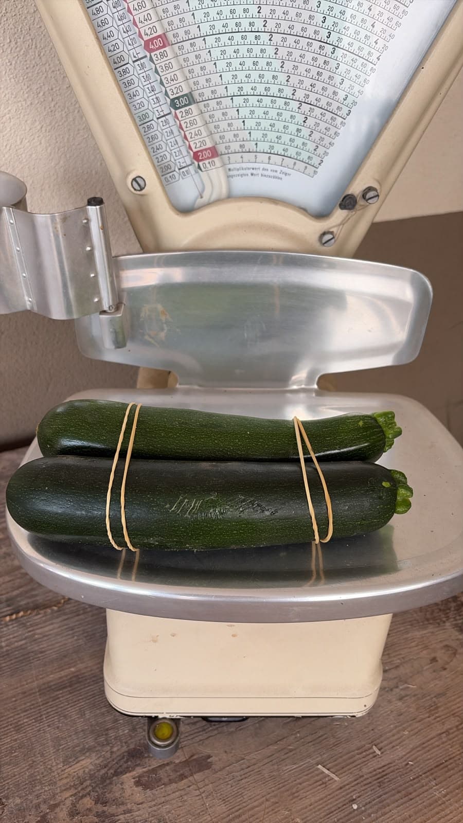 Zuchini