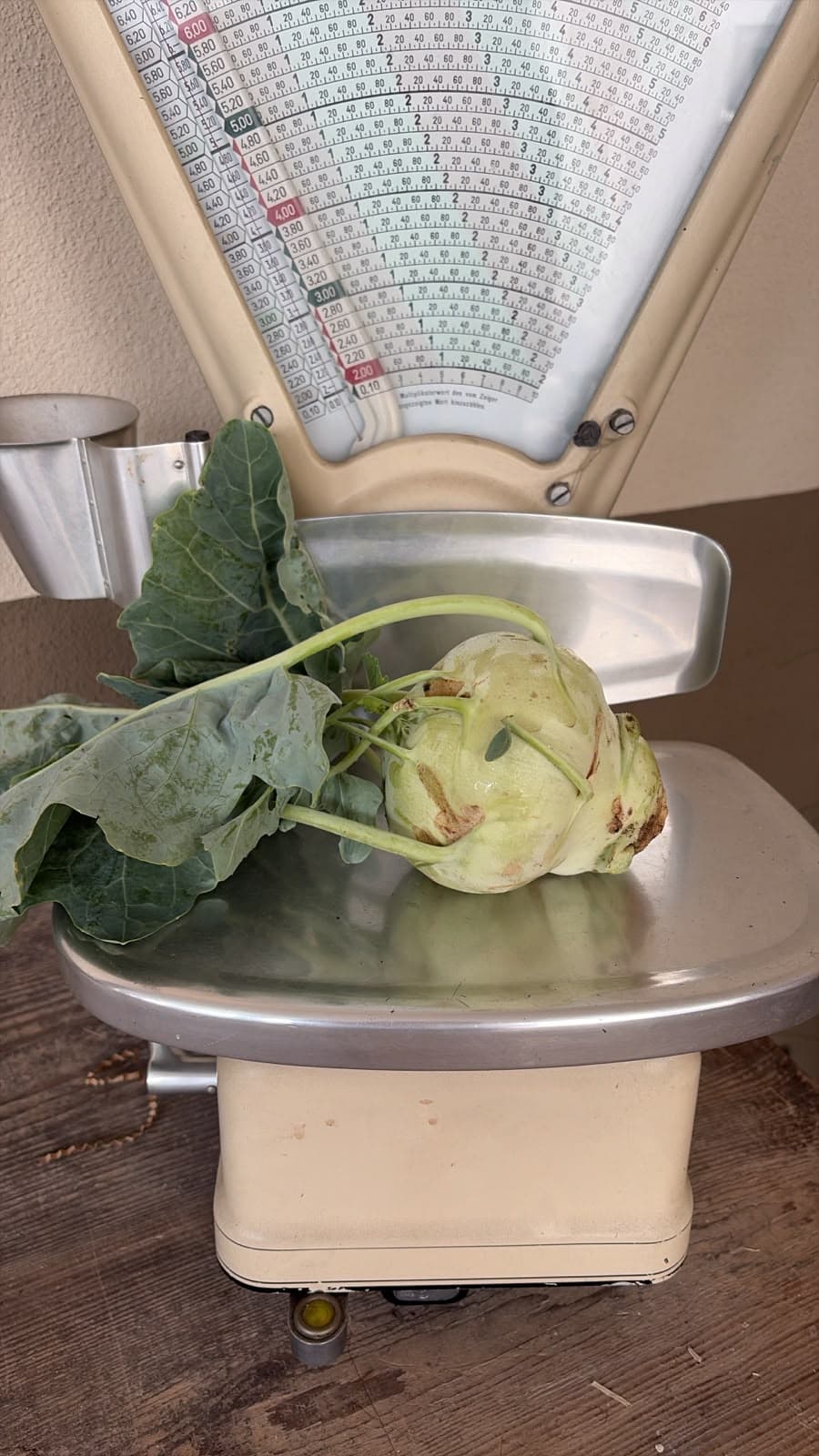 Kohlrabi