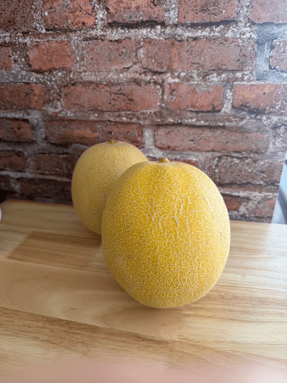 Honigmelone Bio