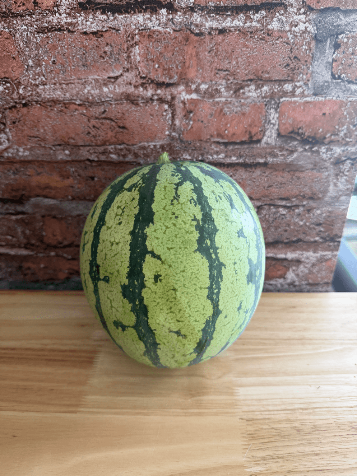 Wassermelone Bio