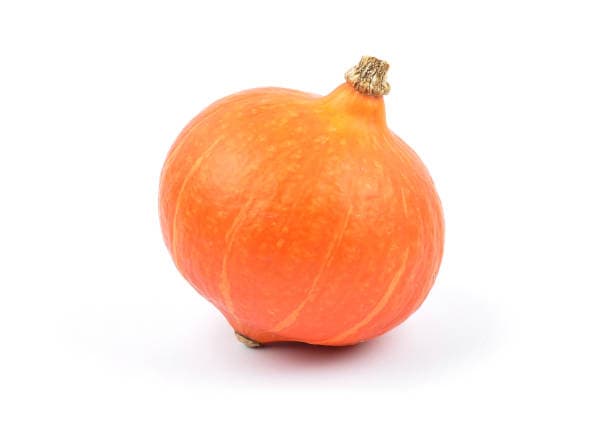 Hokkaido Kürbis