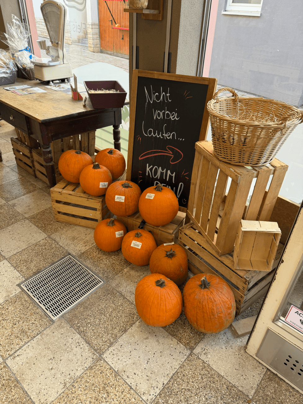 Halloween Kürbis