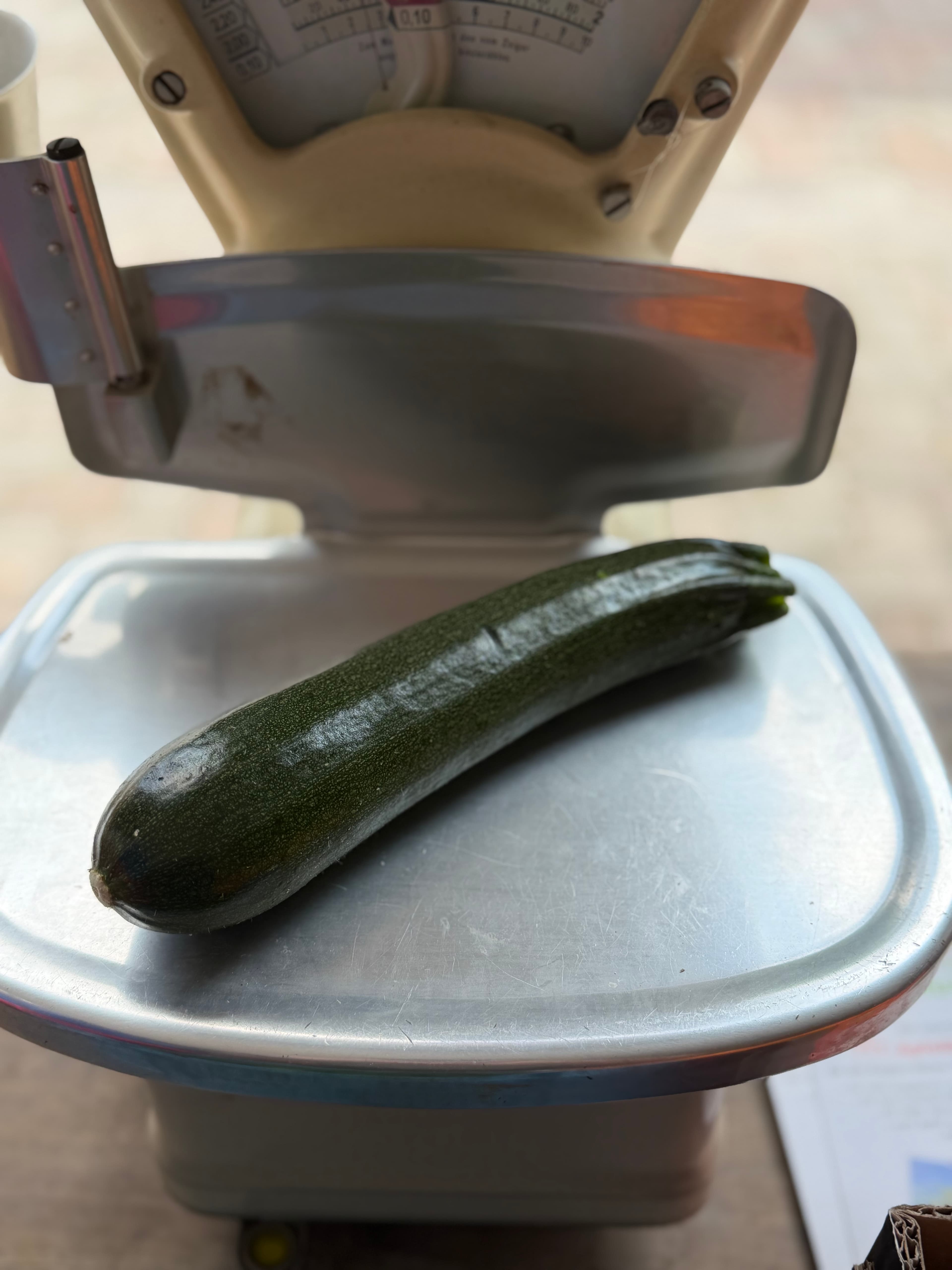 Zucchini