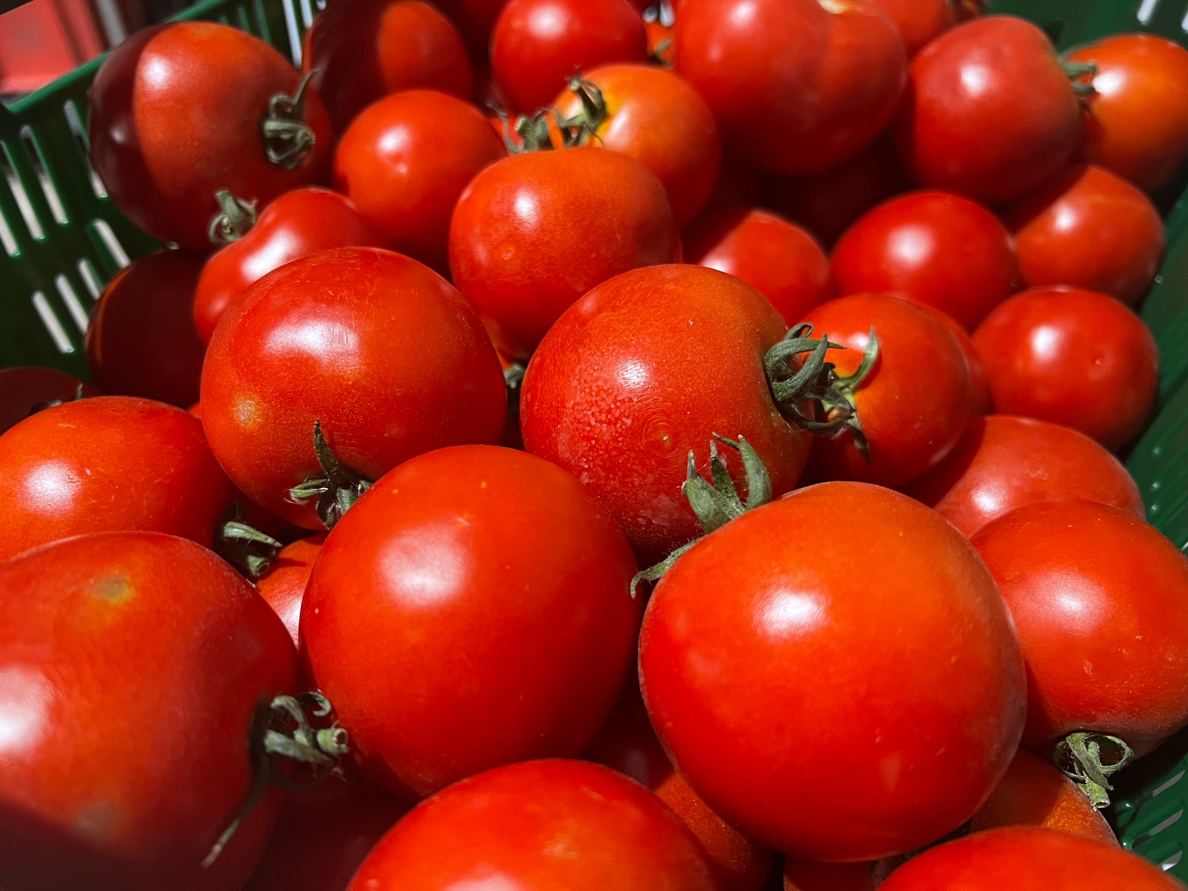 Tomaten 500g