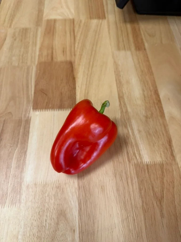 Paprika